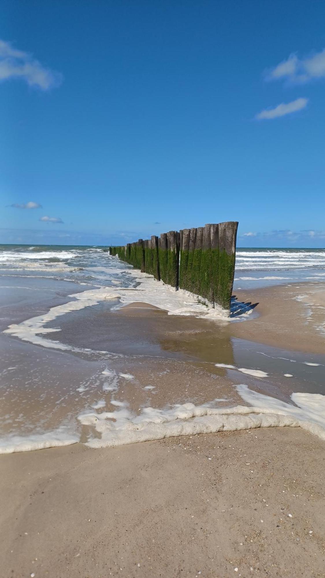 Bed and Breakfast La Carte Postale Oye-Plage Exterior foto